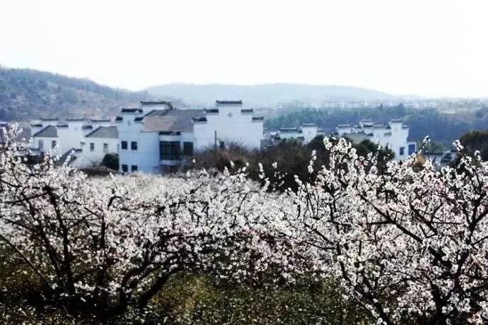 我市新增11家中小企业公共服务示范平台